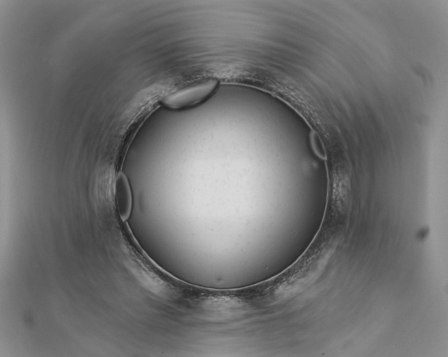 X0000112460397200908311333