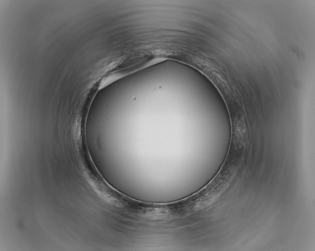 X0000112460398200908311333