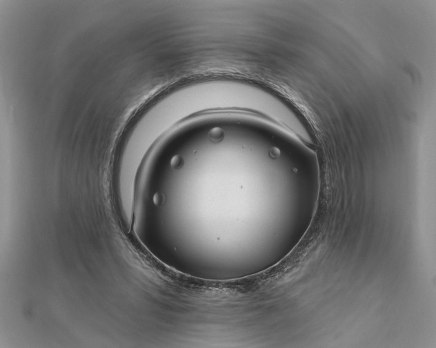 X0000112460399200908311333