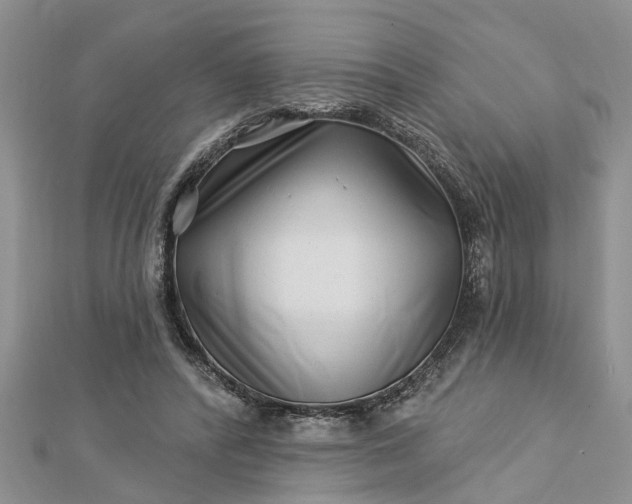 X0000112460400200908311333