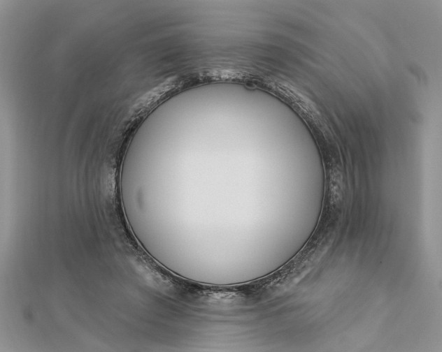 X0000112460401200908311333