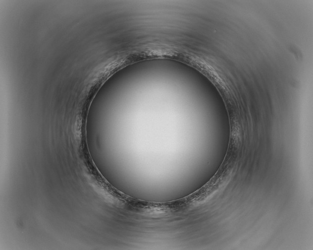 X0000112460402200908311333