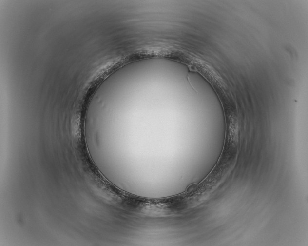 X0000112460403200908311333