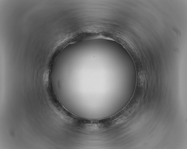 X0000112460404200908311333