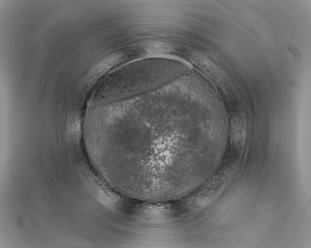 X0000112460405200908311333