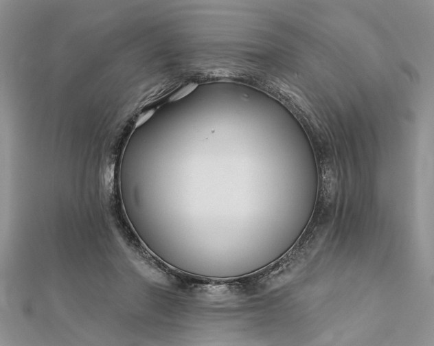 X0000112460406200908311333