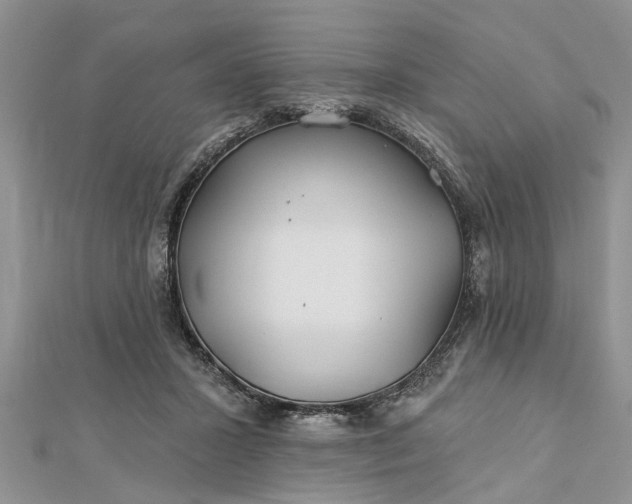 X0000112460407200908311333