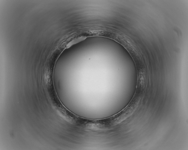 X0000112460408200908311333