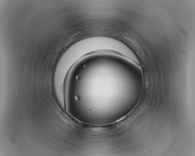 X0000112460409200908311333