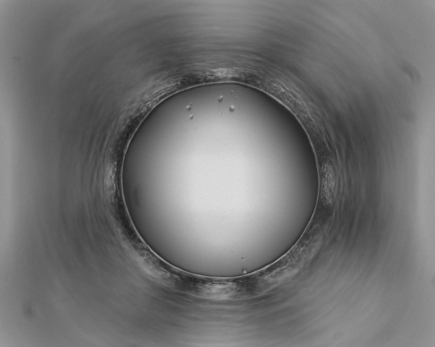 X0000112460410200908311333