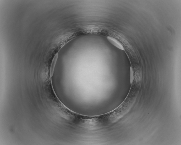 X0000112460411200908311333