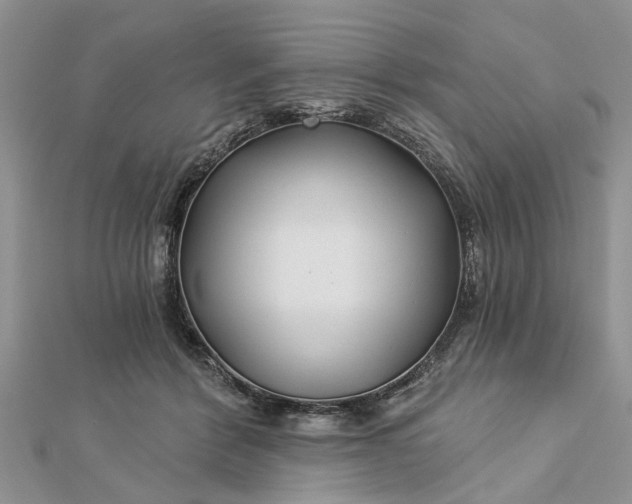 X0000112460412200908311333