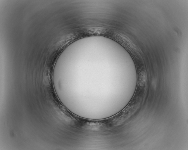 X0000112460414200908311333