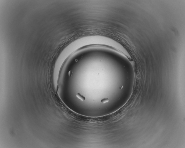 X0000112460416200908311333