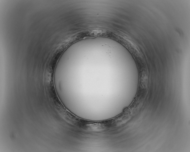 X0000112460417200908311333