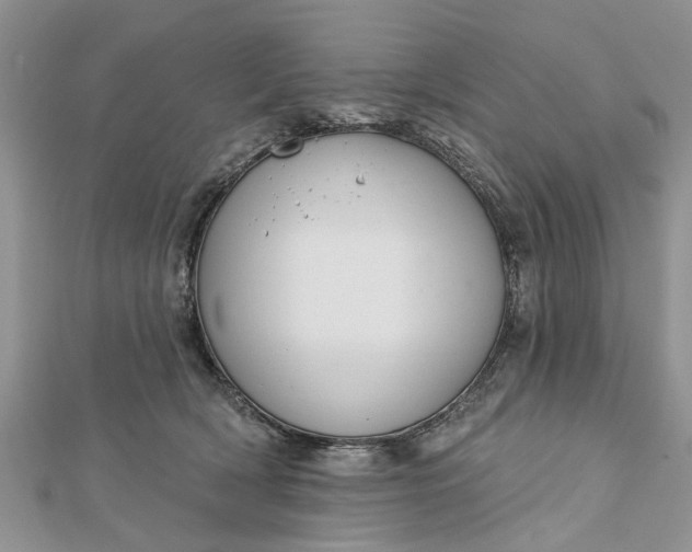 X0000112460418200908311333