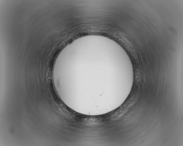 X0000112460419200908311333