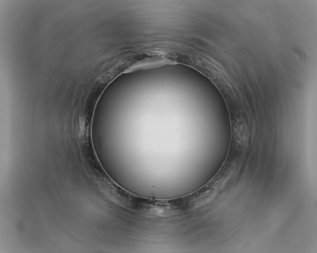 X0000112460420200908311333