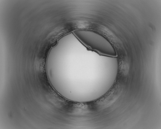 X0000112460421200908311333