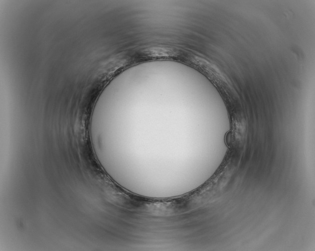 X0000112460422200908311333