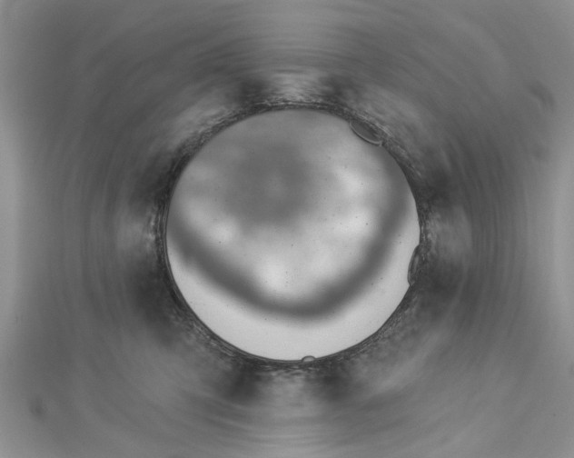 X0000112460423200908311333