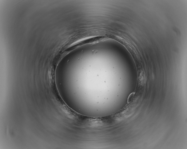 X0000112460424200908311333