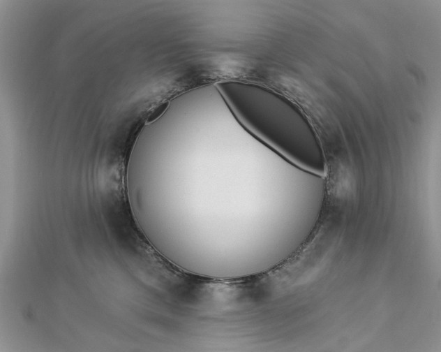 X0000112460425200908311333