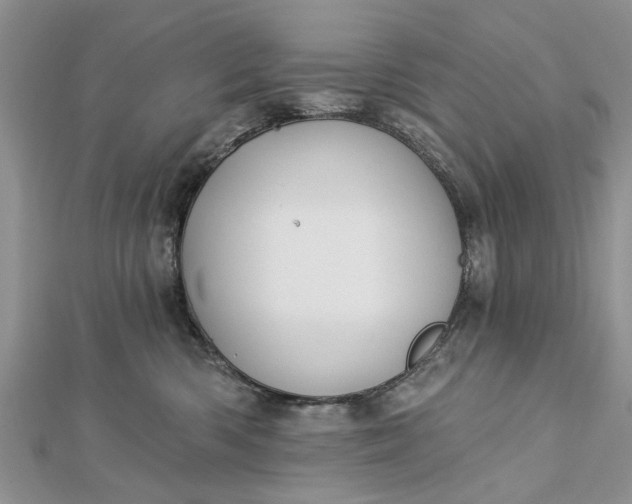 X0000112460426200908311333