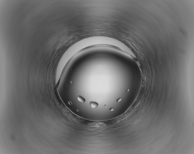 X0000112460427200908311333