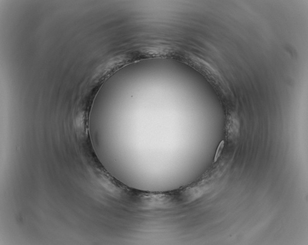 X0000112460428200908311333