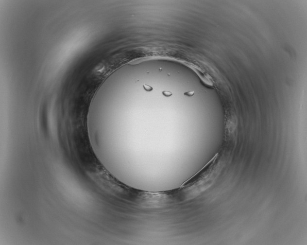 X0000112460429200908311333