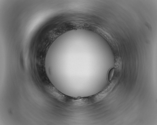 X0000112460430200908311333