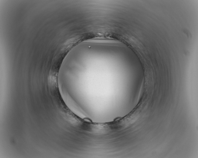 X0000112460432200908311333