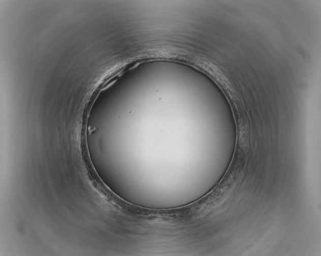 X0000112460434200908311332