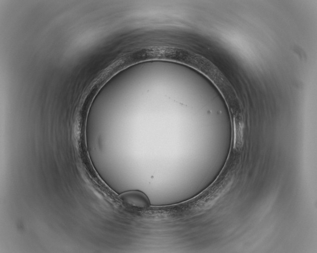 X0000112460435200908311332