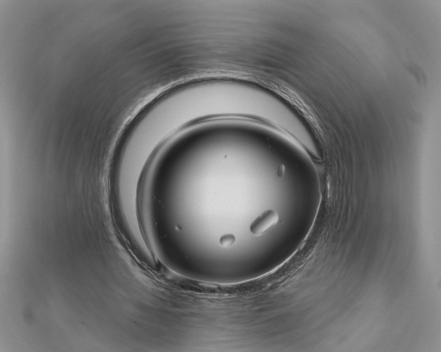 X0000112460436200908311332