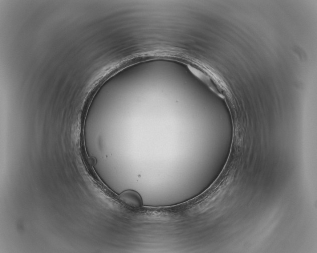 X0000112460437200908311332