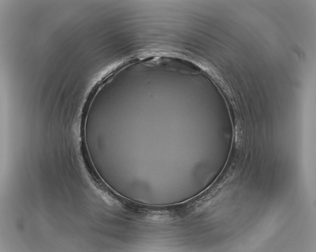 X0000112460438200908311332