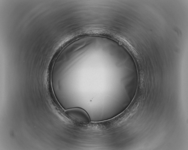 X0000112460439200908311332