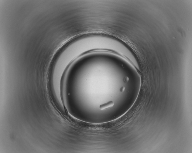 X0000112460440200908311332