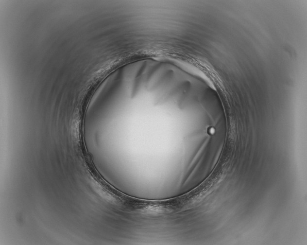 X0000112460441200908311332