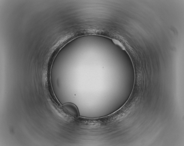 X0000112460443200908311332