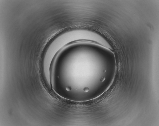 X0000112460444200908311332