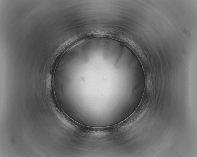 X0000112460445200908311332