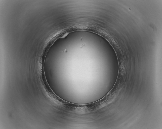 X0000112460446200908311333