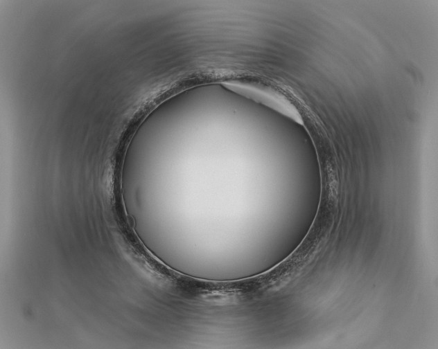 X0000112460447200908311333