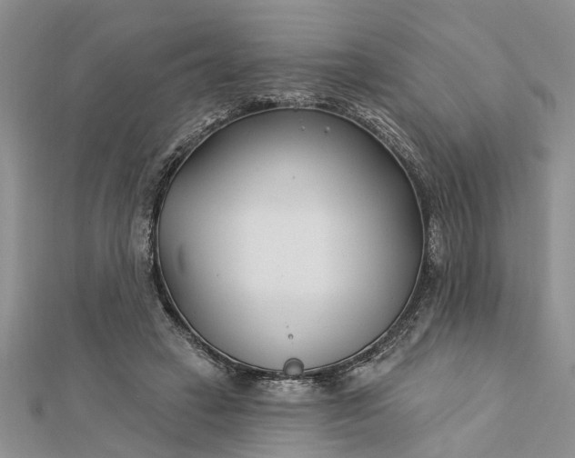 X0000112460449200908311333