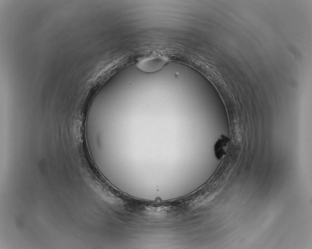 X0000112460450200908311333