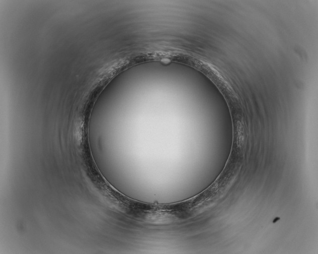 X0000112460451200908311333