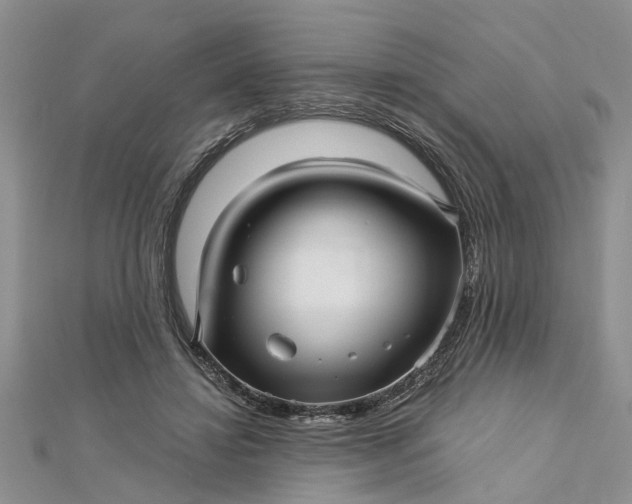 X0000112460452200908311333